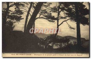 Old Postcard Ile de Port Cros great Galilee Mountains and South Pointe views ...