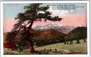 ESTES PARK, Rocky Mountain National Park  LONG'S PEAK & JAPANESE TREE  Postcard 