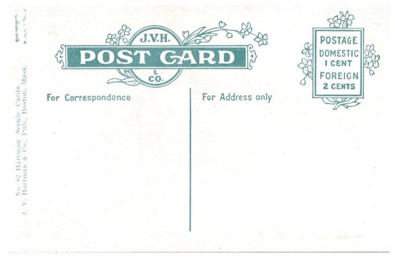 The Flume Looking Down A Cascade White Mountains New Hampshire Postcard