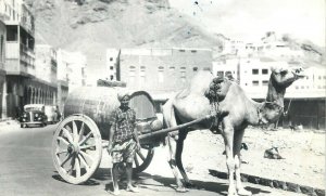 Yemen Aden water seller crater camel traction cart real photo postcard 1961