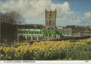 Wales Postcard - St David's Cathedral, Pembrokeshire   RR10325