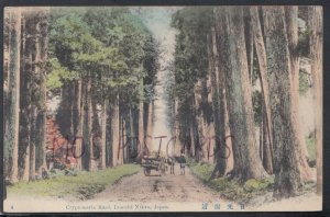 Japan Postcard - Cryptomeria Road, Imaichi Nikko  RS17740