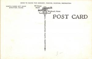 Stratton Maine~Eusts Ridge Gift Shop~99 Tolman Street~Vintage RPPC Postcard