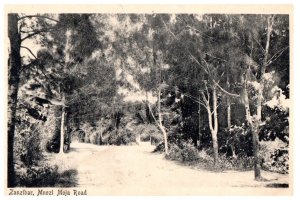 Mnazi Moja Road Znazibar Kenya Black And White Postcard