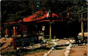 Postcard HOUSE SCENE Jasper Alberta AB AN3700