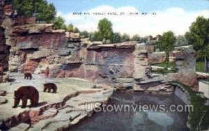 Bear Pit, Forest Park - St. Louis, Missouri MO  