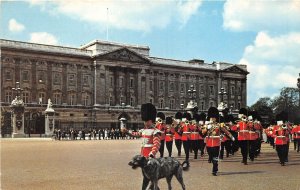 US62 UK England London Buckingham Palace 1968 soldier uniform dog parade