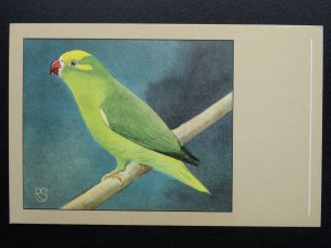 Bird Theme PERRUCHE TUTS c1950s Postcard by P. Sluis Series 7 No.77