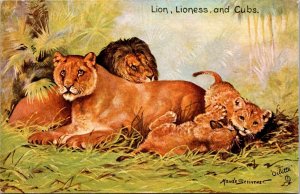 Lion, Lioness and Cubs Tucks 9154 In the Jungle Vintage Postcard V56