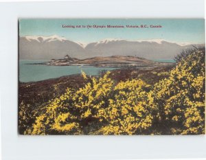 Postcard Looking out to the Olympic Mountains Victoria Canada