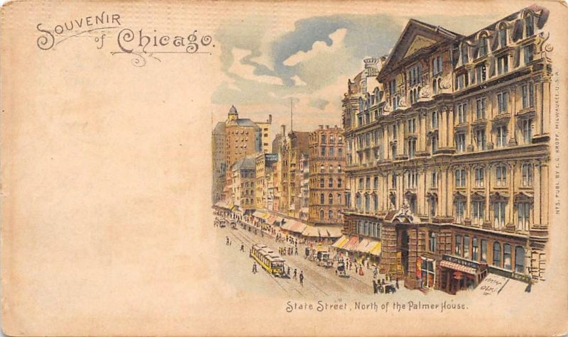 CHICAGO IL State Street Scene Illinois Vintage PMC Postcard 1902