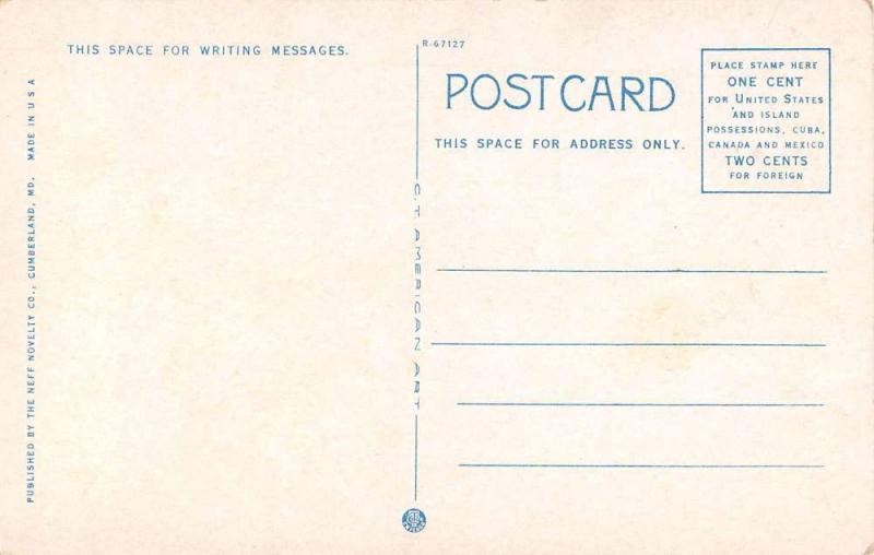 Cumberland Maryland birds eye view west side towards Narrows antique pc Y13381 