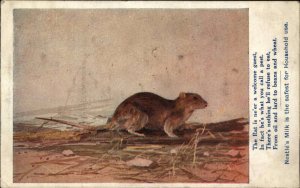 Nestle's Milk Ad Advertising Safe from Rats Plague c1910 Vintage Postcard