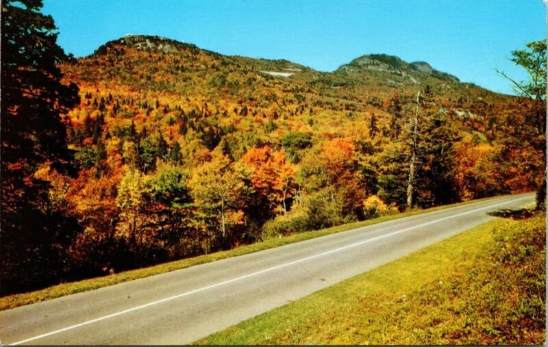 Autumn Scene Blue Ridge Parkway Grandfather Mountain North Carolina NC Postcard