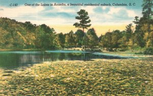 Vintage Postcard 1930's Lake Arcadia Residential Suburb Columbia South Carolina