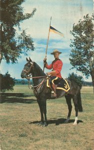 The Royal Canadian Mountes Police. Horse  Nice vintage Canada postdard