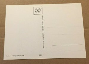 UNUSED POSTCARD - ASCENT, PUBL. WALTER NIESSEN, GERMANY