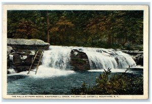 1922 Falls At Fern Wood Kaaterskill Creek Palenville Catskill Mts NY Postcard