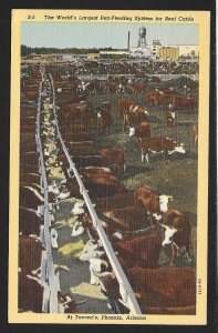 Tovreas Pen Feeding System for Cows Phoenix AZ Unused c1942