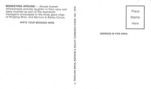 Monkeying Around Ringling Brothers and Barnum and Bailey Circus Postcard