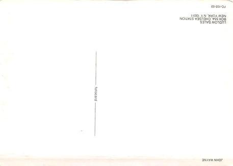 John Wayne Movie Poster  