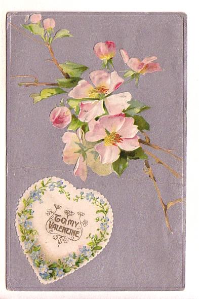 To My Valentine, Apple Blossoms, Used 1906, Split Ring Cancel, Nova Scotia