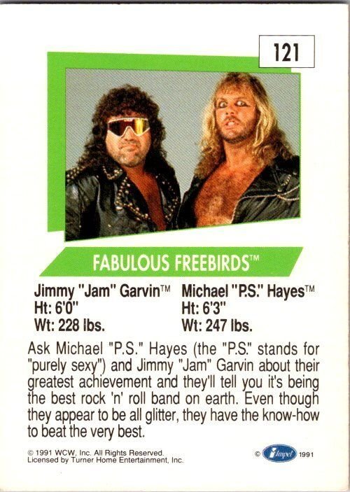 1991 WCW WRestling Card Fabulous Freebirds sk21188