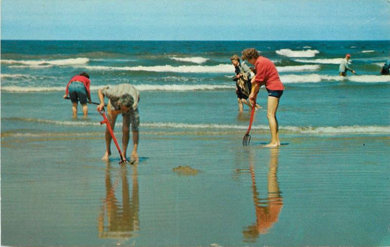 Vintage Postcard Digging for Clams Pismo Beach Morro Bay CA San Luis