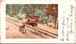 Postcard Donkey Carrying Load, I Helped Build Pike's Peak Railway 