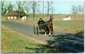 Postcard - The Amish Courting Buggy, Pennsylvania Dutch Country - Pennsylvania