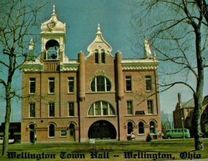 Wellington Town Hall, Wellington, Ohio Vintage Postcard P6