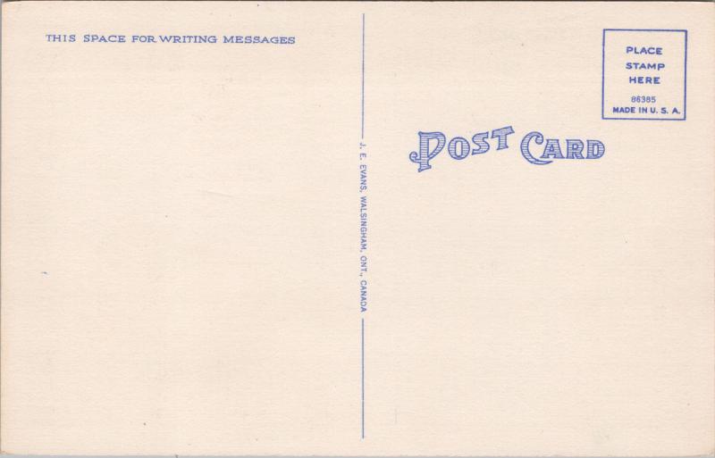 20th Century Motor Court Iona Ontario ON Unused Vintage Linen Postcard E35