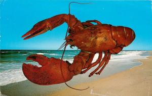 Red Lobster Cape Cod Massachusetts MA pm 1973 Postcard