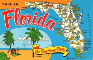 USA This Is Florida The Sunset State Map Chrome Postcard 04.05