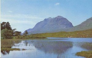 Scotland Postcard - Loch Clair and Ben Liathach - Glen Torridon  ZZ714