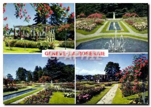 Modern Postcard Geneve Rose Garden