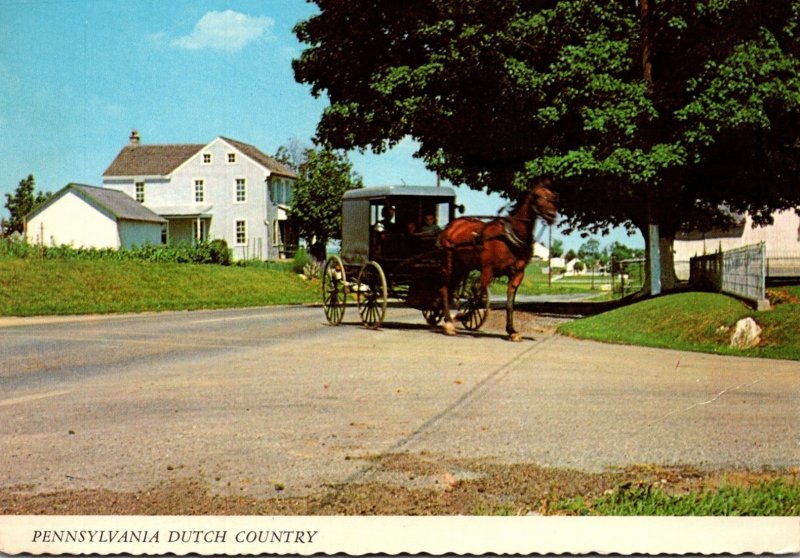 Pennsylvania Amish Country Amish Family Carriage 1972