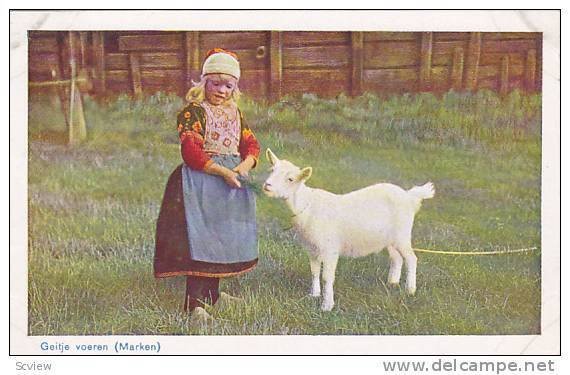 Little Girl Feeding A goat, Geitje Voeren, Marken (North Holland), Netherland...