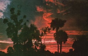 Postcard 1984 Brilliant Start Of A New Day Sunrise In Beautiful Florida FL