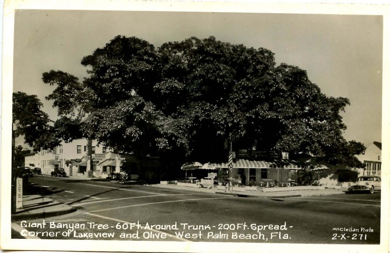 FL - West Palm Beach, Dec. 30, 1950. Corner of Lakeview & Olive   *RPPC