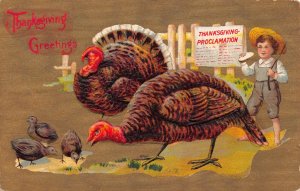 Thanksgiving Postcard Boy with Turkey Couple and Their Babies~125671