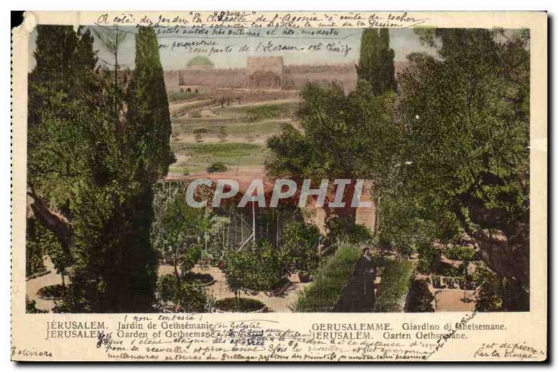 Postcard Old Jerusalem Garden of Gethsemane