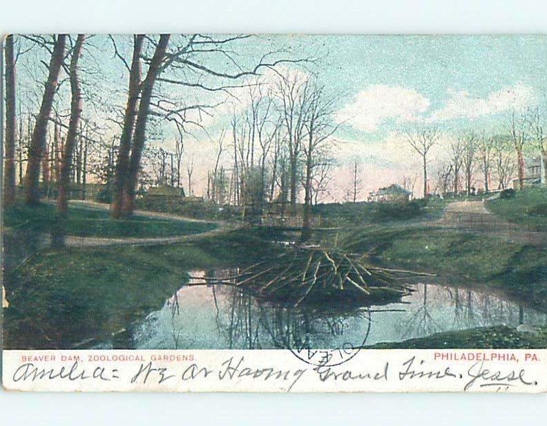 Pre-1907 BEAVER DAM AT ZOOLOGICAL GARDEN Philadelphia Pennsylvania PA A1388