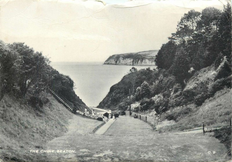 Post card England East Devon Seaton the Chine