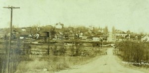 Circa 1910 RPPC Wolverine, Michigan Town View Train Depot Real Photo Postcard F1