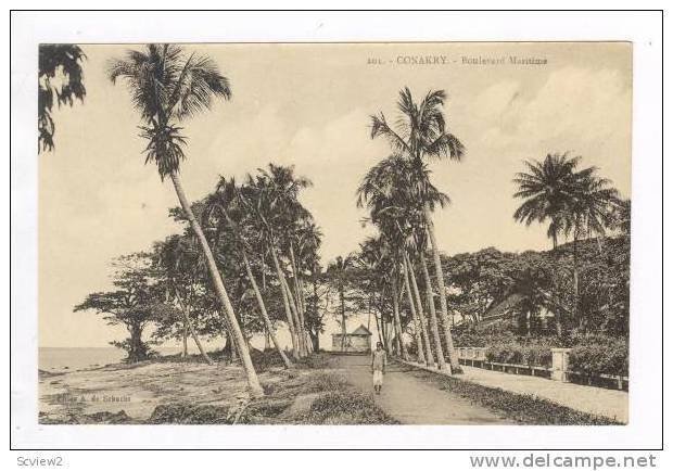 Man Walking,Boulevard Maritime,Conakry,Africa,1 900-10s