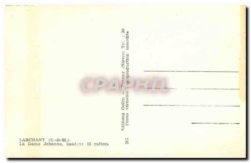 Old Postcard Larchant S and M Lady Joan