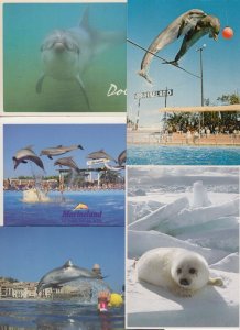 SEALIFE/DOLPHINS 44 Vintage ANIMALS Postcards pre-1970 (L3618)