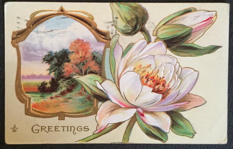Postcard Used w/no Stamp Embossed Flowers/Trees “Greetings”  KS LB