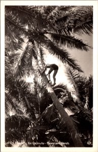 Real Photo Postcard Climbing for Coconuts in Hawaiian Islands Person Palm Tree